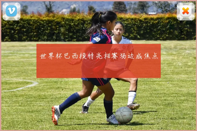世界杯巴西模特亮相赛场边成焦点