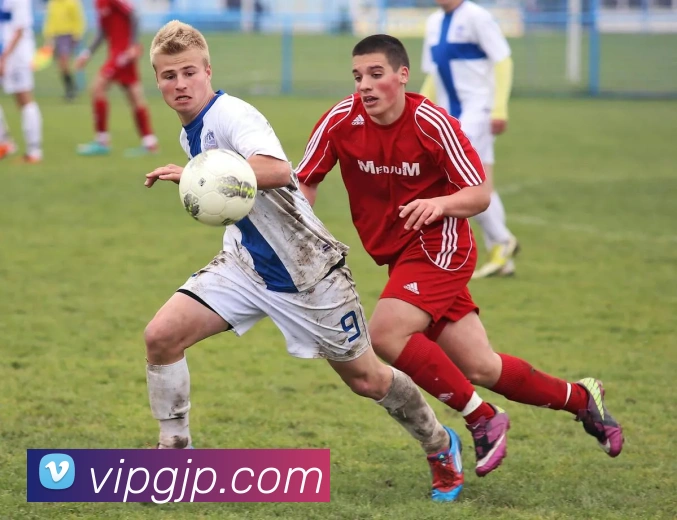 leyu乐鱼在线登录最新官网发展历程